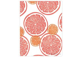 Citrus Slices Printable