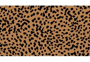 Sahara Cheetah Print Zoom Background