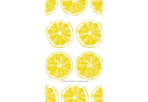 Lemon slices standard wallpaper