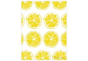 Lemon Slices Printable